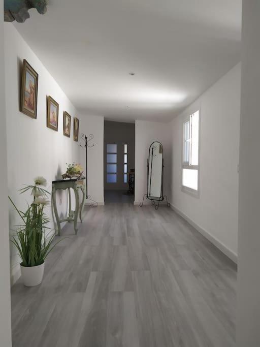 Espectacular Piso En La Misma Plaza Del Mentidero. Apartment Cadiz Bagian luar foto